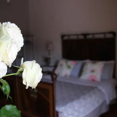 公寓 La Casa Del Borgo Antico